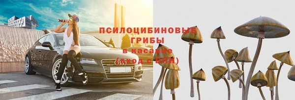 spice Богородск