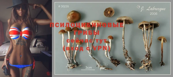 СК Богданович