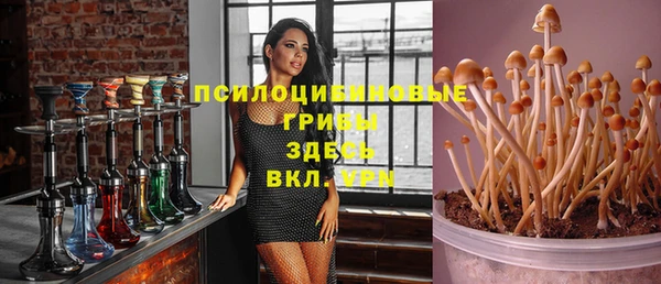 spice Богородск