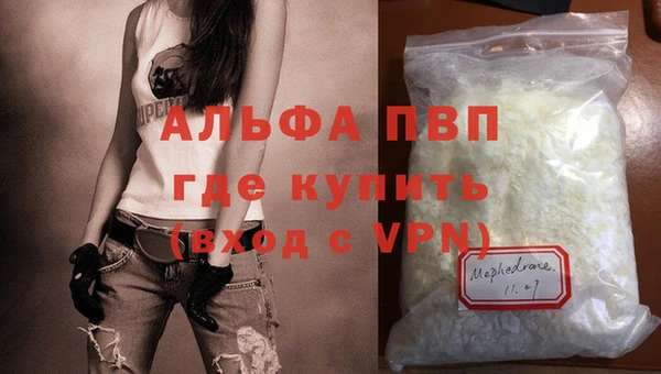 spice Богородск