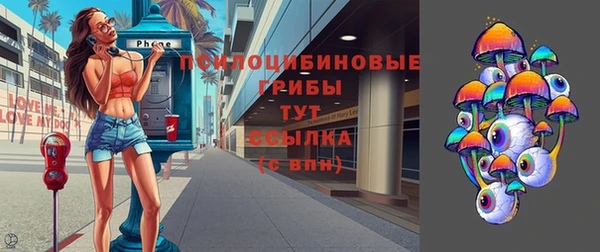spice Богородск