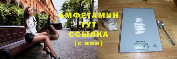 spice Богородск