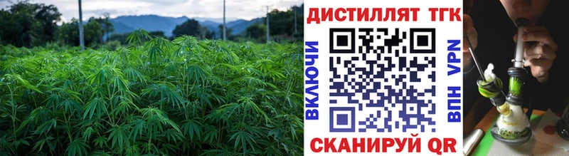 Дистиллят ТГК гашишное масло цена blacksprut зеркало Невельск